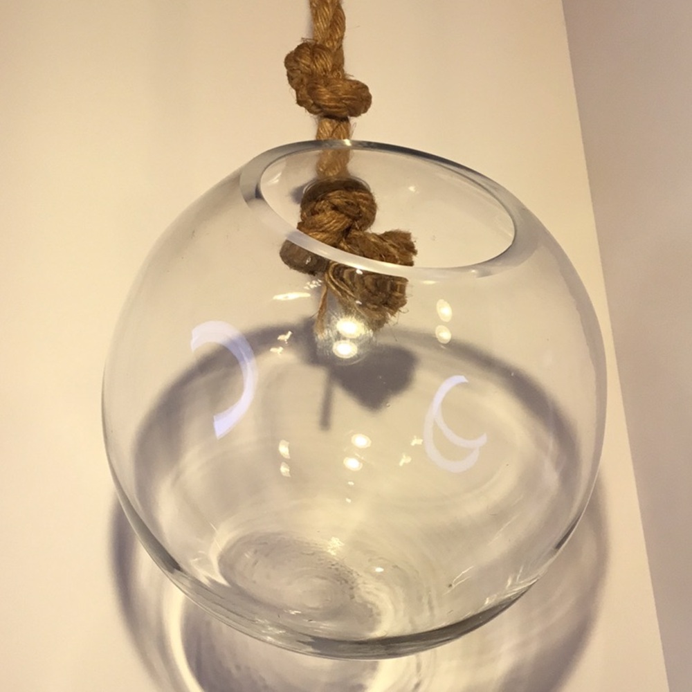 Large Hanging Globe Terrarium With Rope Hanger - Picture 14 of 16